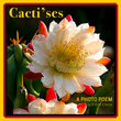 Cacti'ses! A Cactus Photo Poem (PDF)
